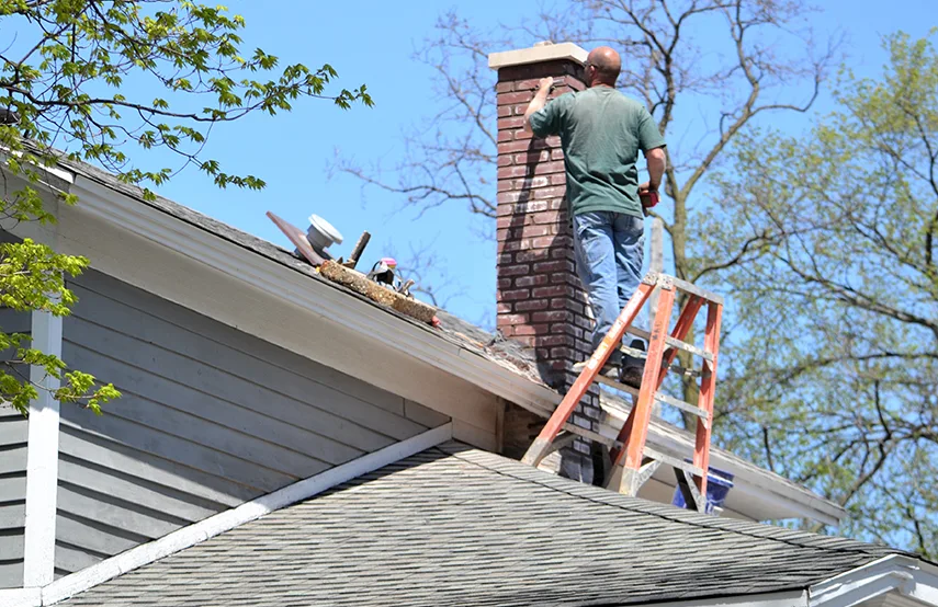 Chimney & Fireplace Inspections Services in Richmond, VA